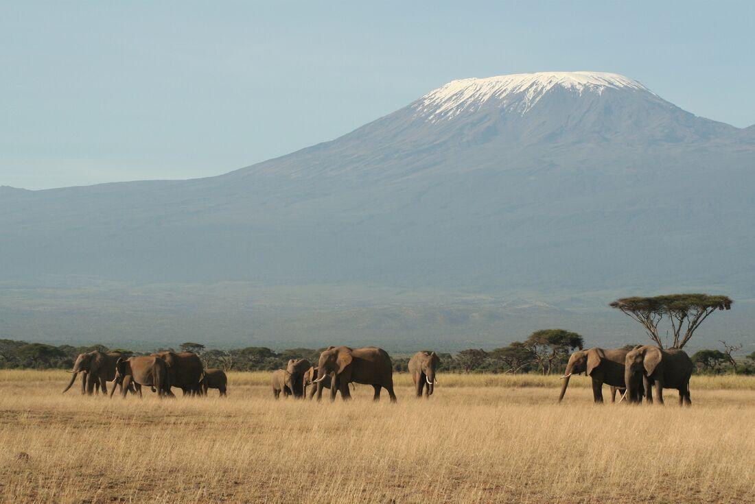 intrepid travel kilimanjaro